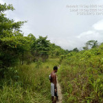 Rp36,7 Miliar untuk Jalan yang Hilang, Kaidel di Balik Lingkar Wokam