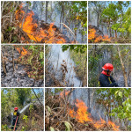 Api Lahap Semak di Gunung Nona, Kebakaran Disebut Berulang Kali Terjadi